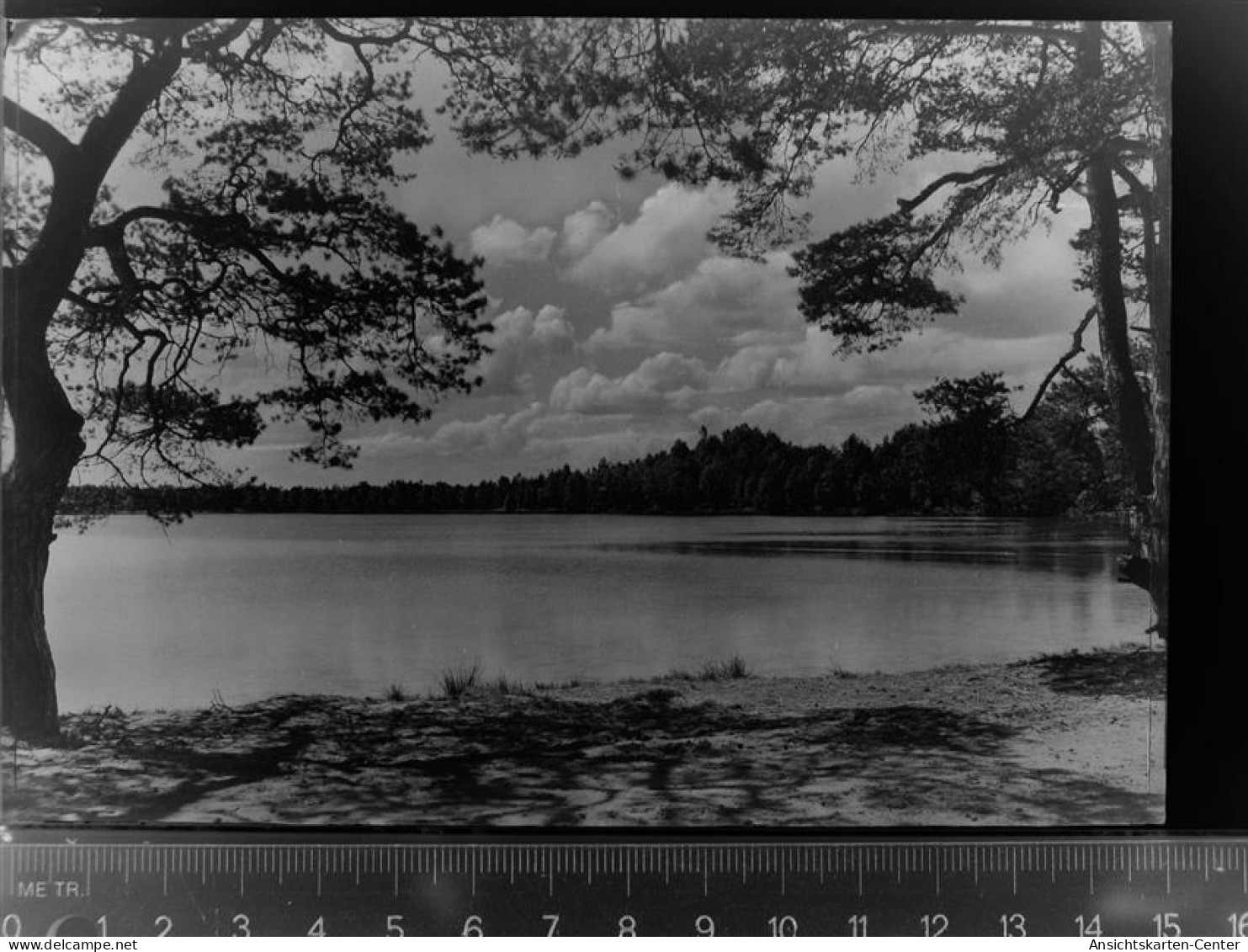 30039556 - Rotenburg (Wuemme)