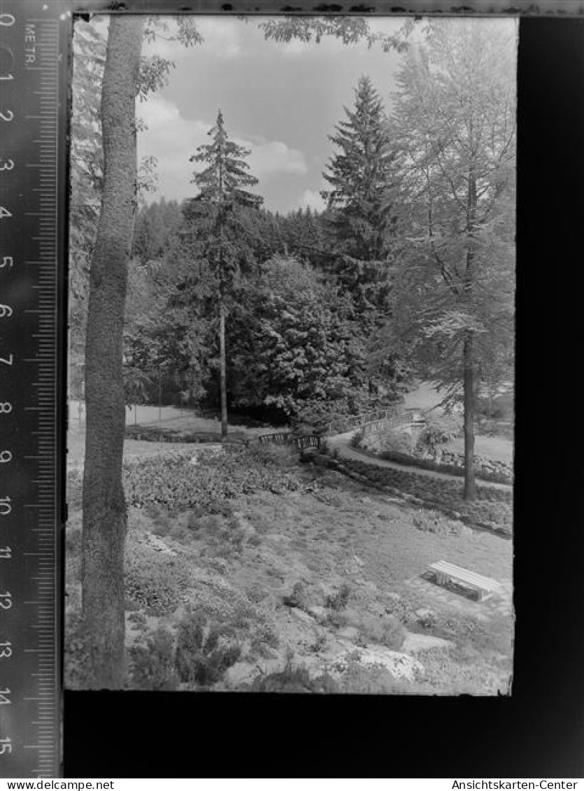 30045224 - Bad Sachsa