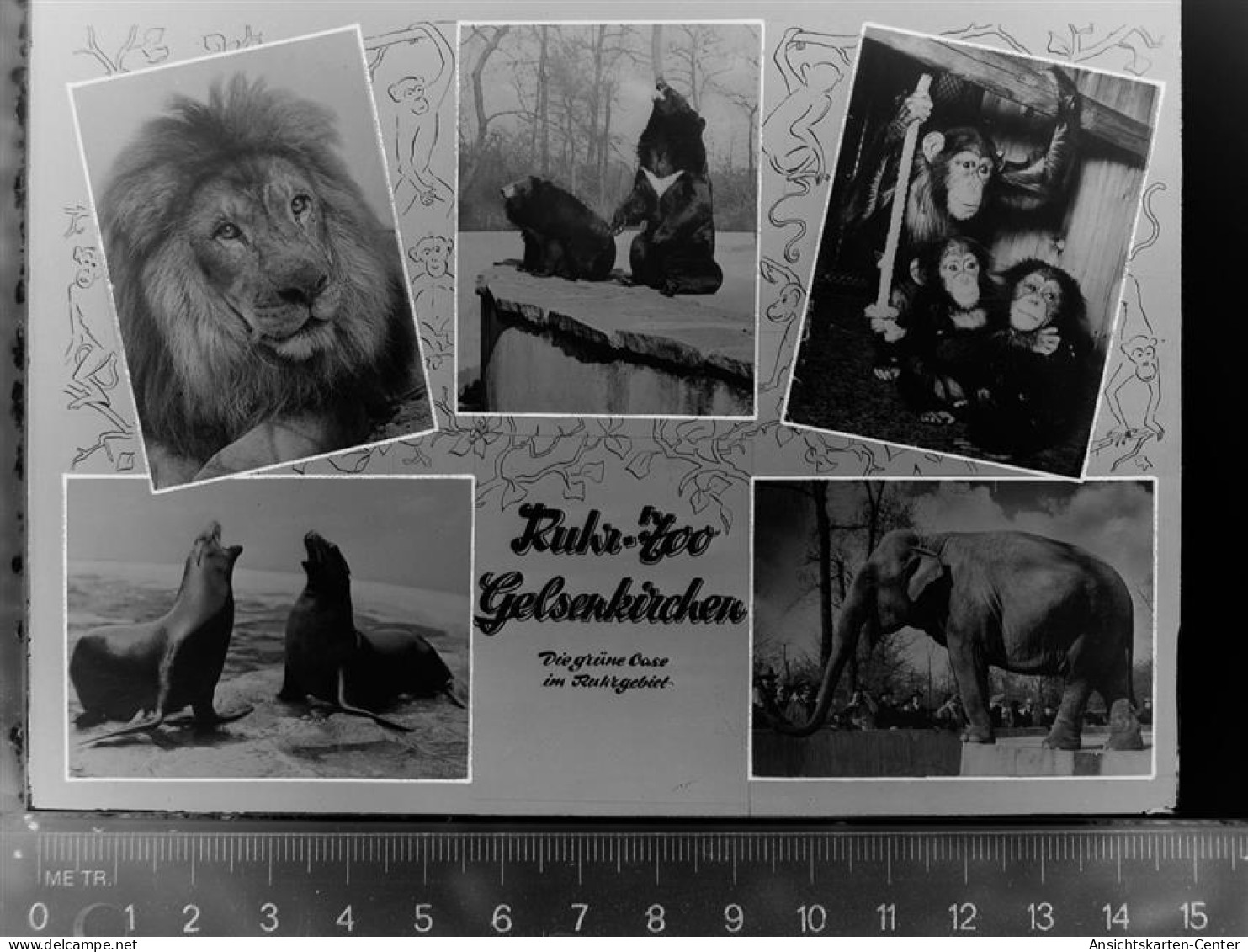 30045386 - Gelsenkirchen