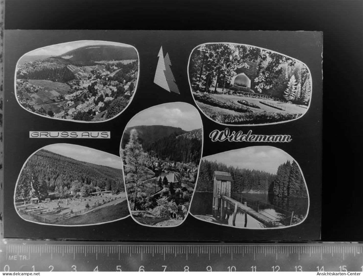 30047359 - Wildemann