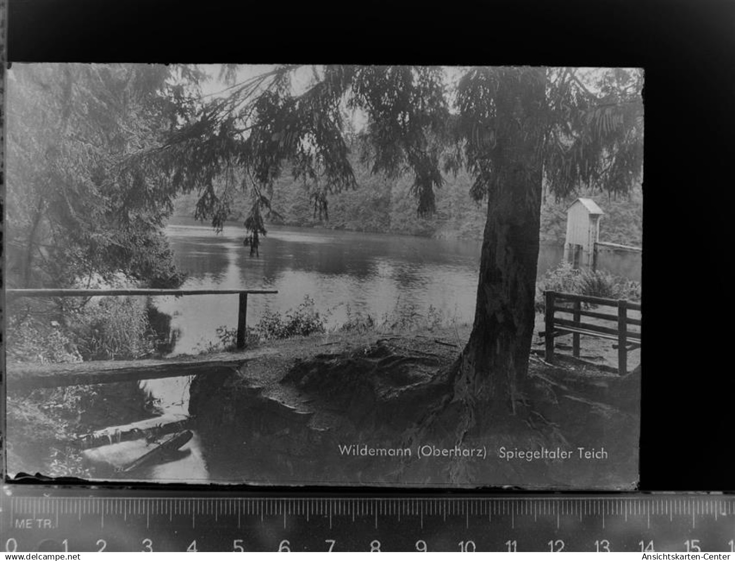 30047365 - Wildemann