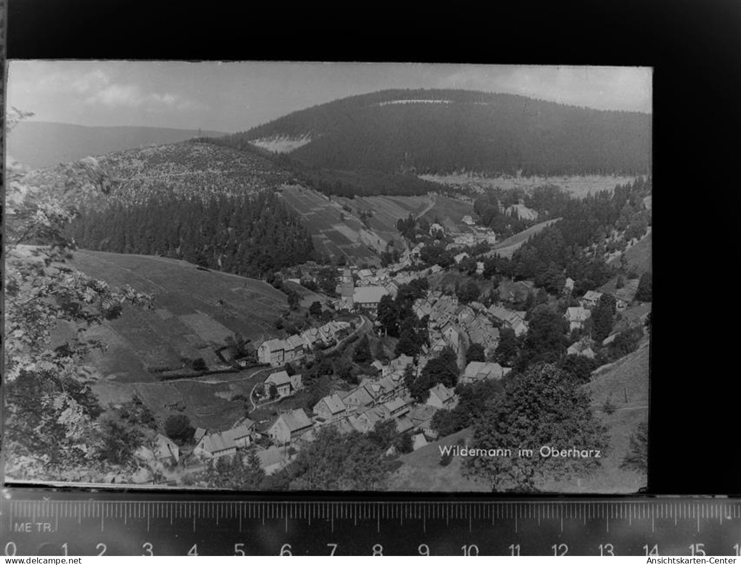 30047368 - Wildemann