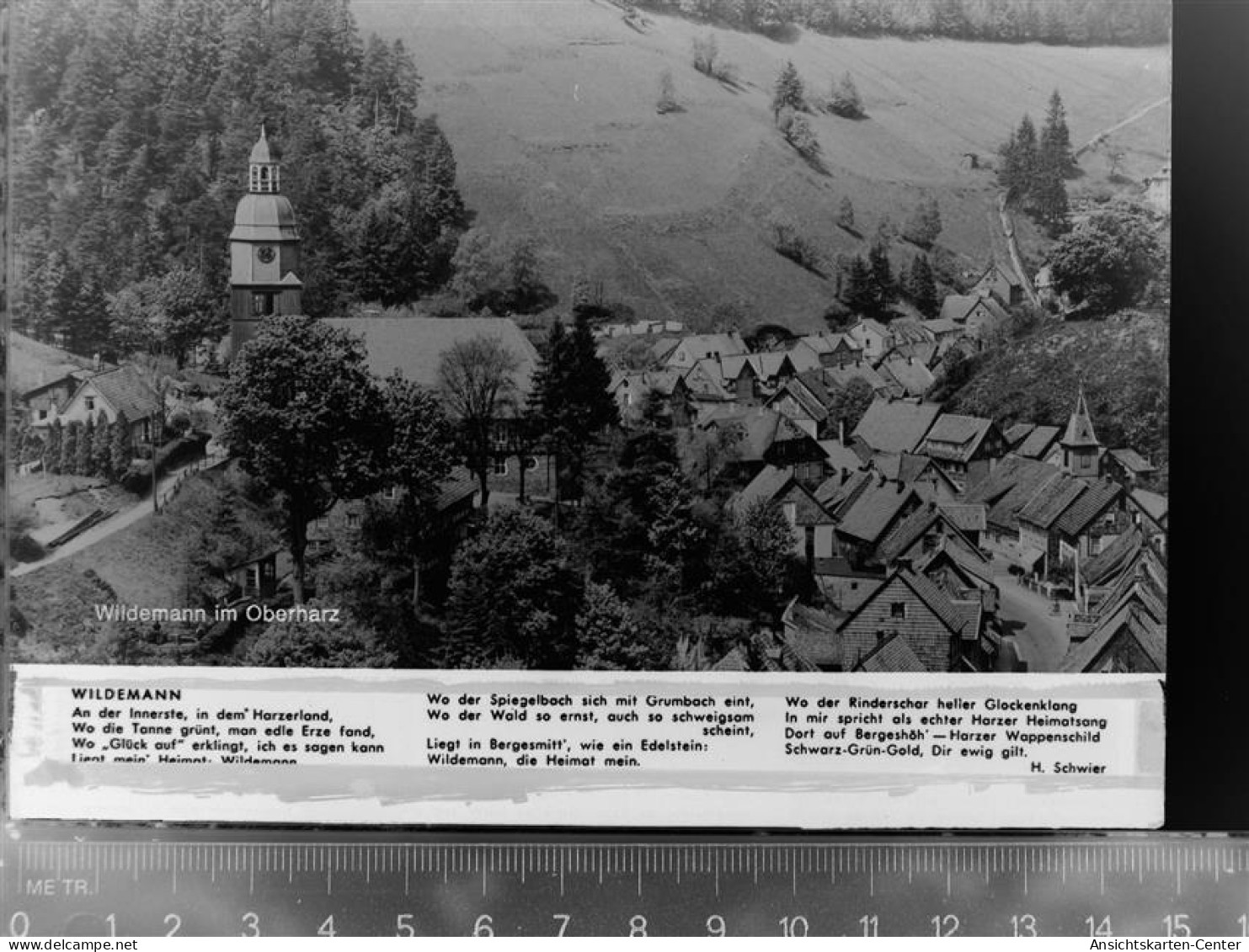 30047376 - Wildemann