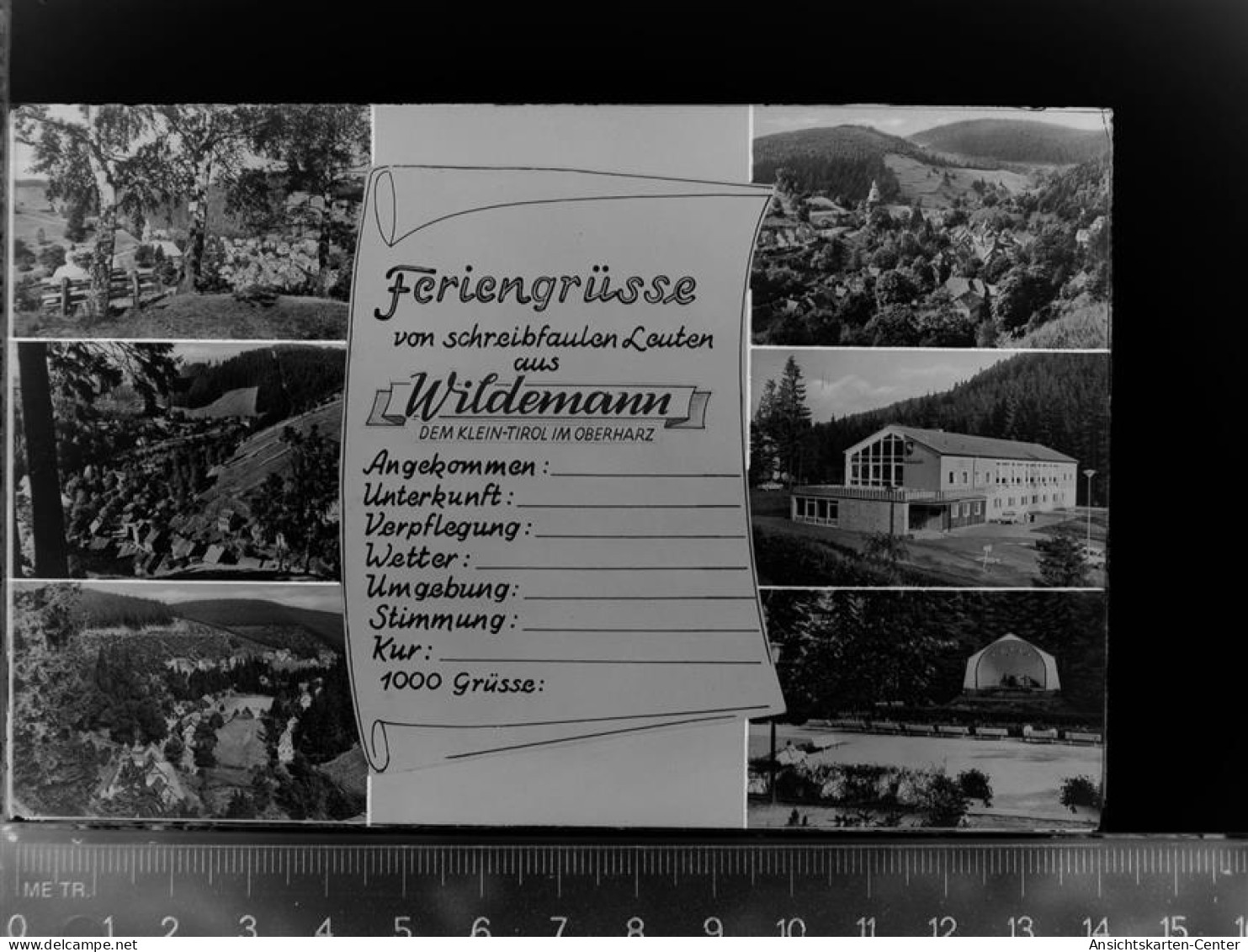 30047409 - Wildemann