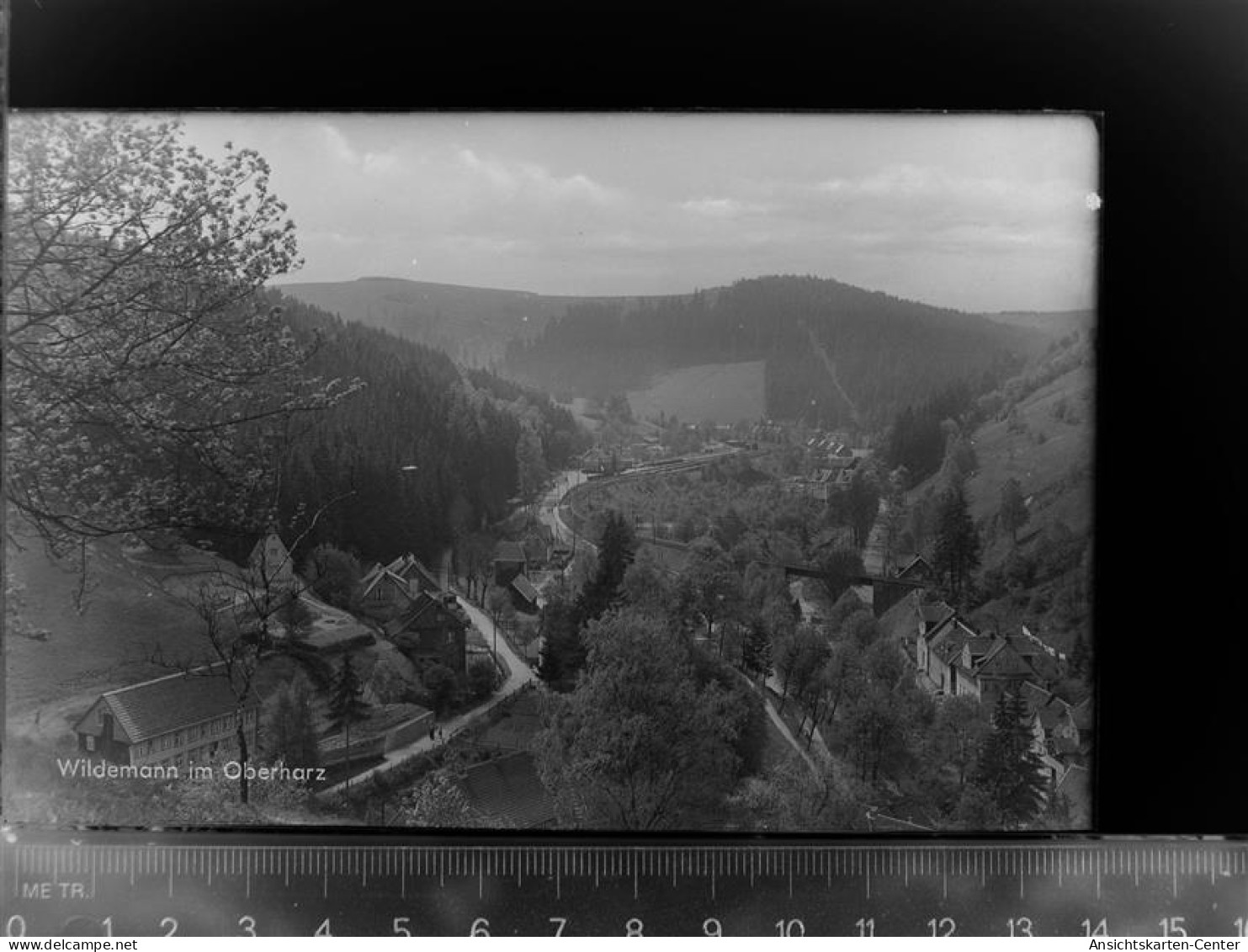 30047420 - Wildemann