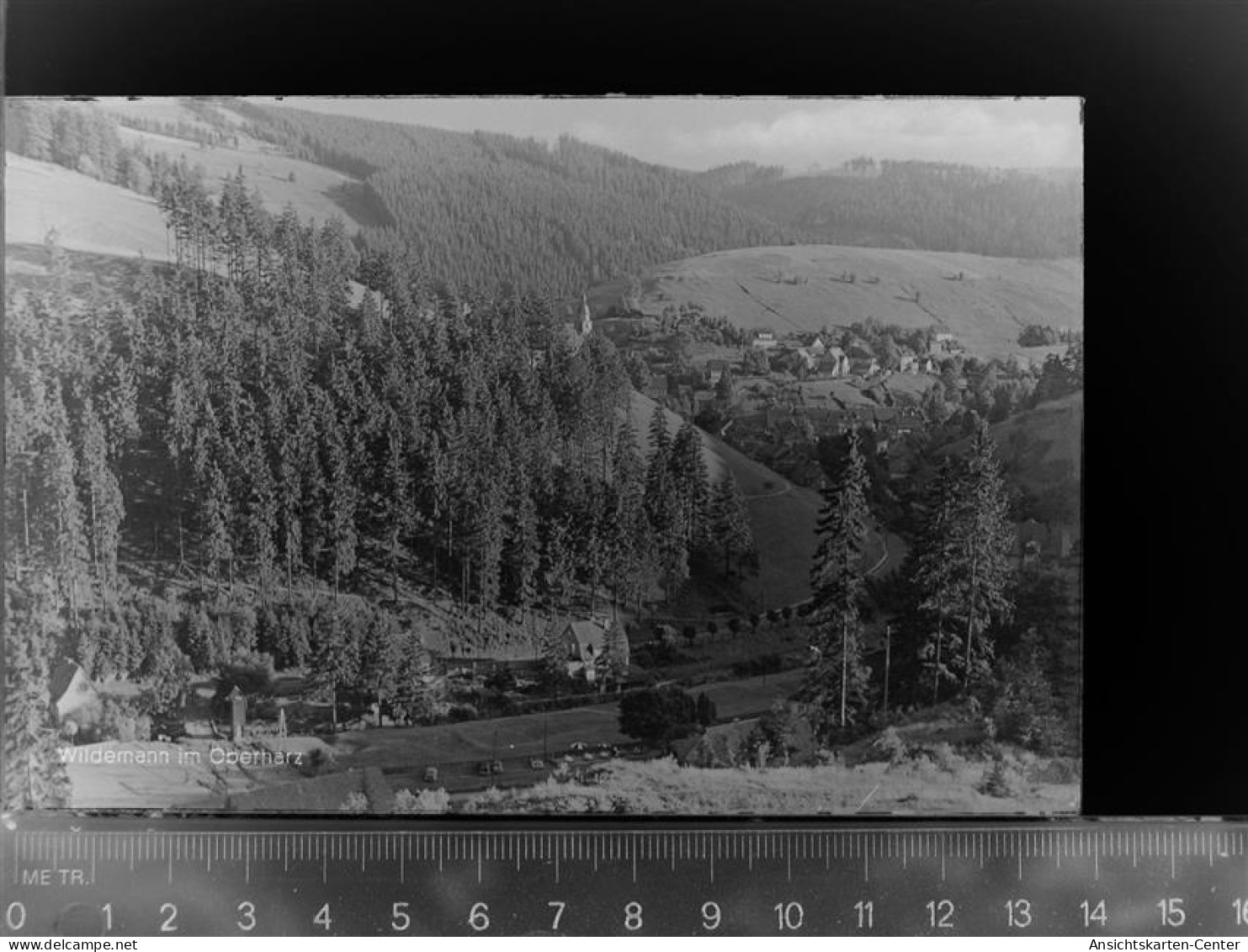 30047424 - Wildemann