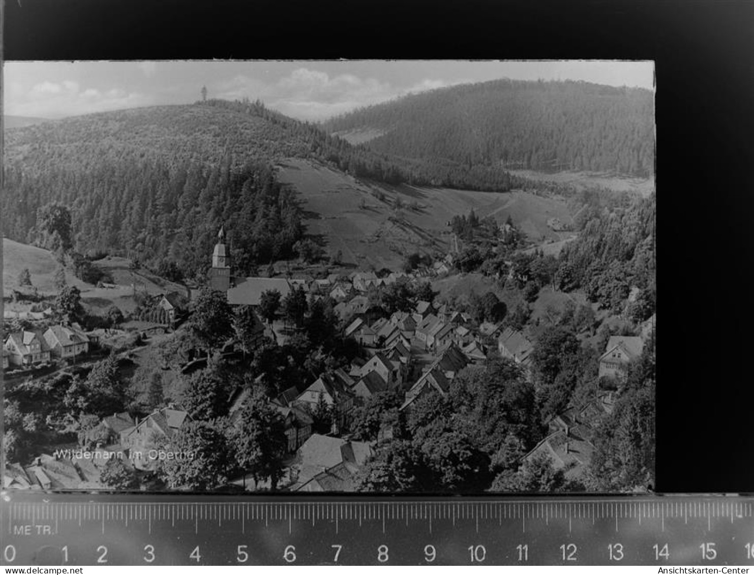 30047426 - Wildemann