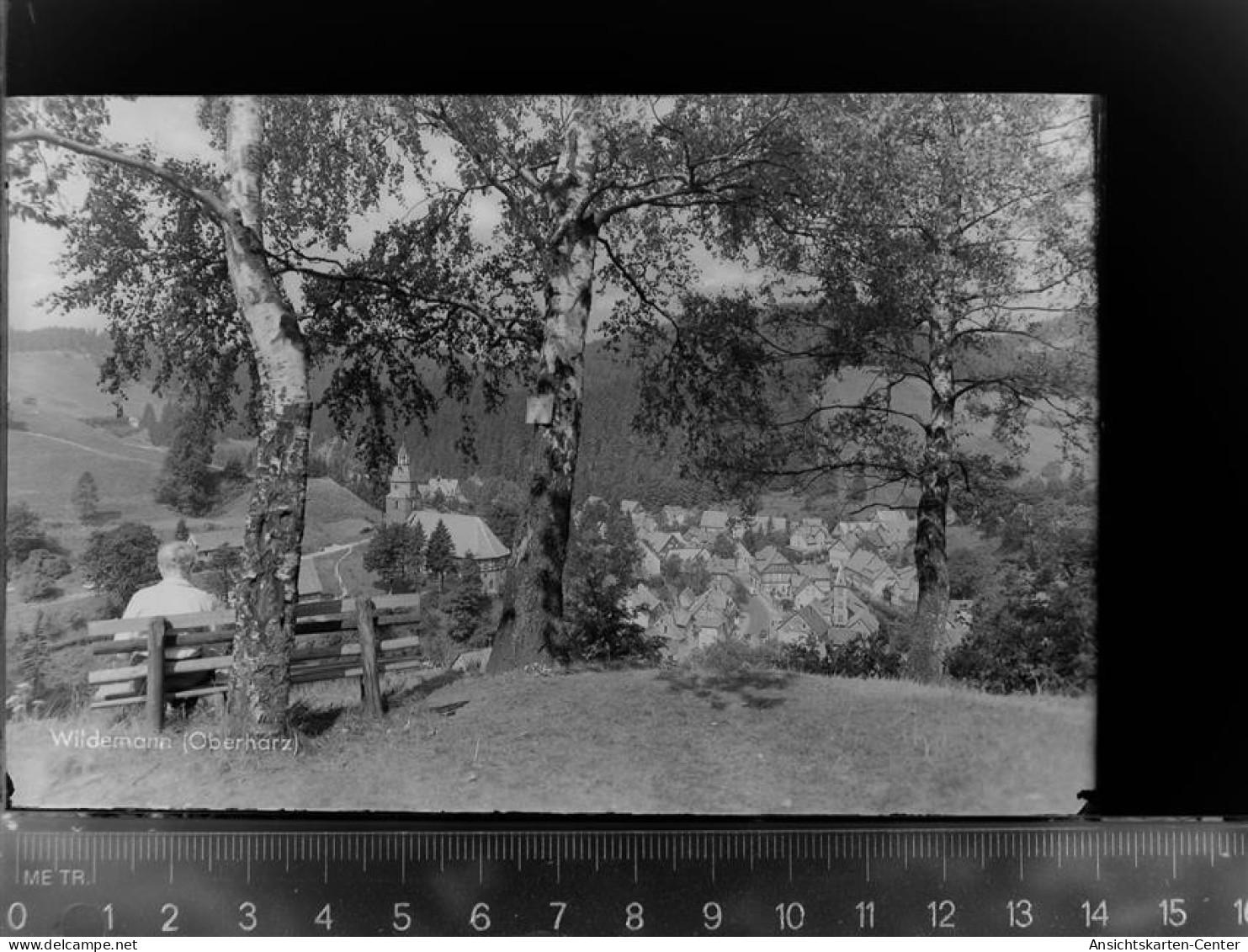 30047440 - Wildemann