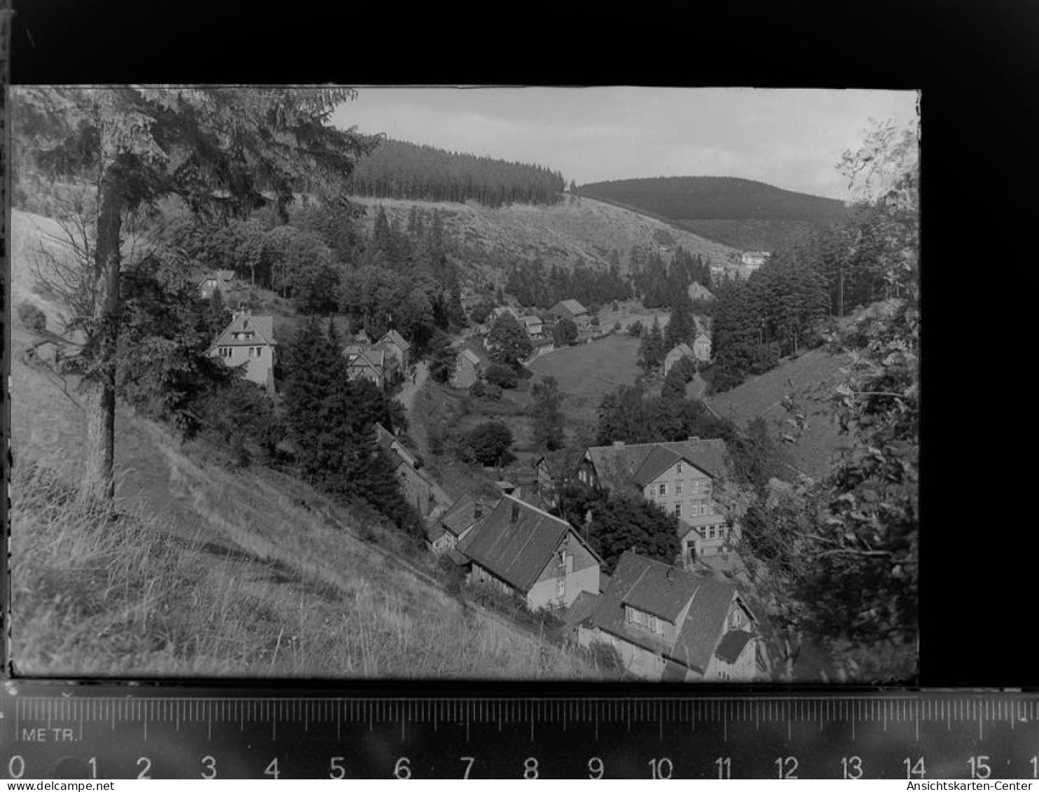 30047453 - Wildemann