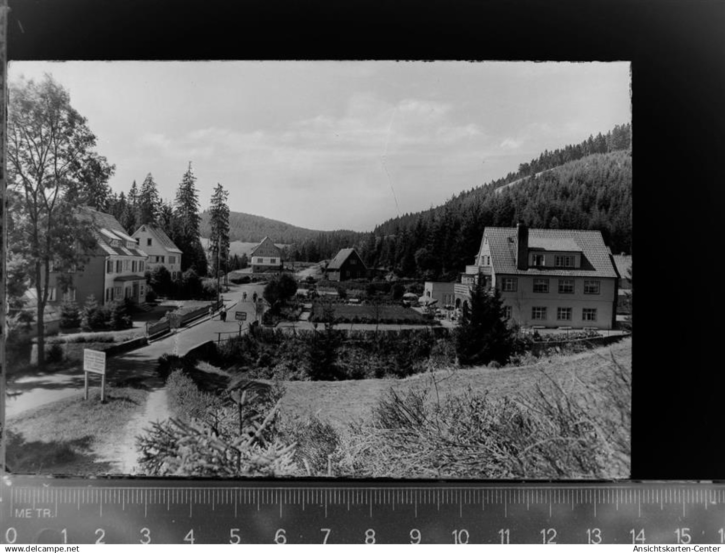 30047455 - Wildemann