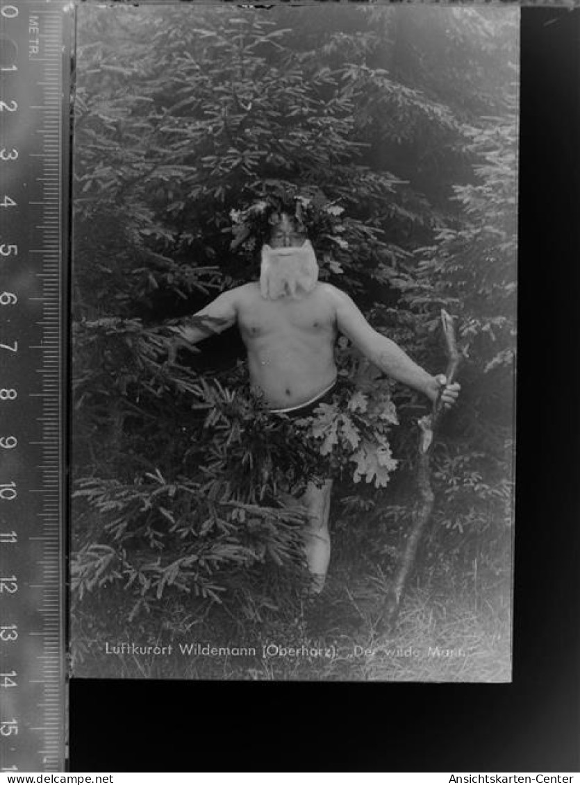 30047463 - Wildemann