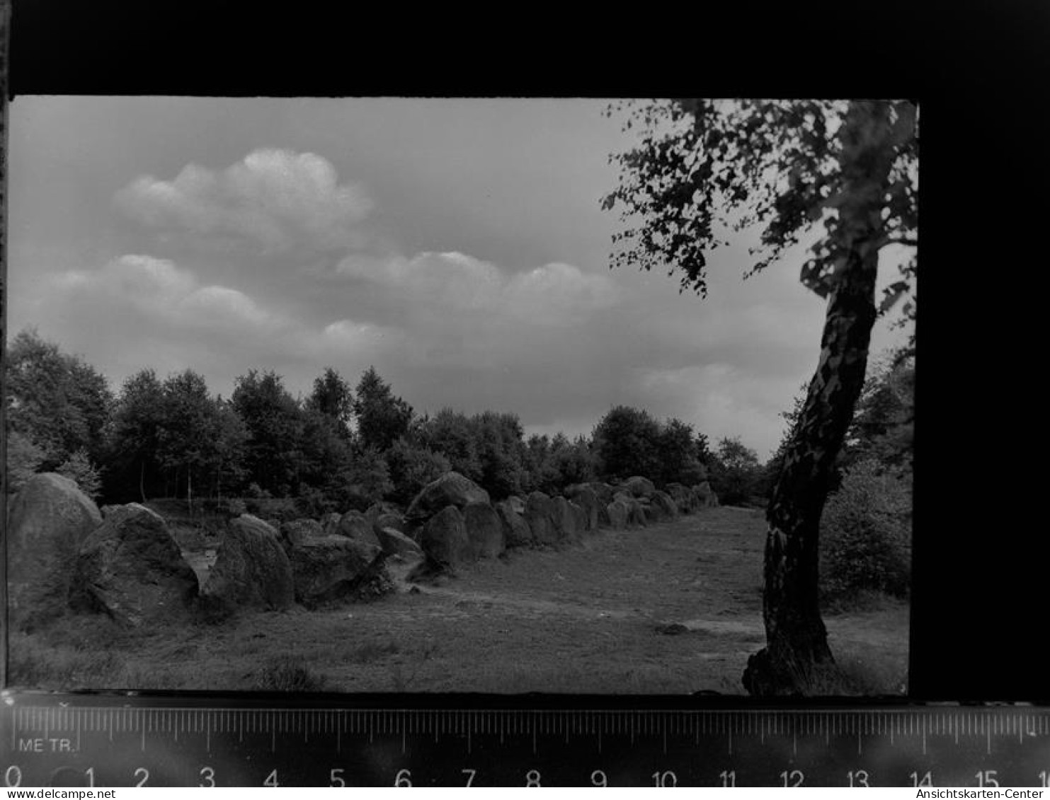 30048076 - Wildeshausen