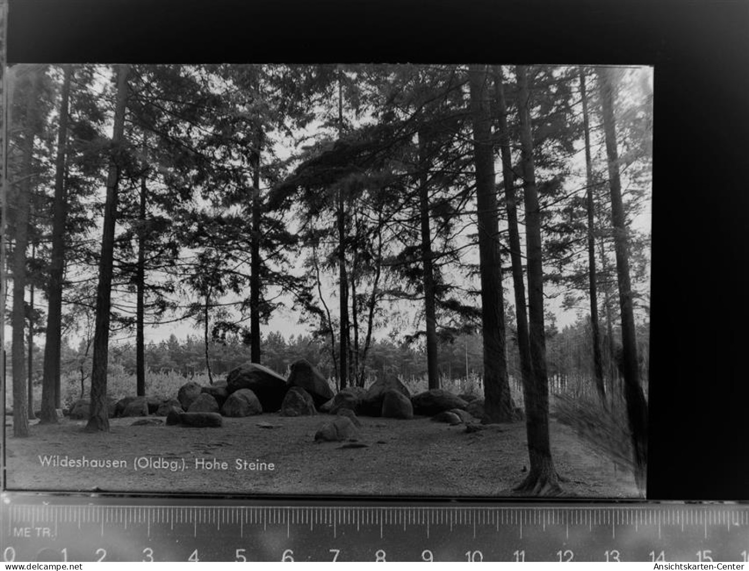 30048079 - Wildeshausen