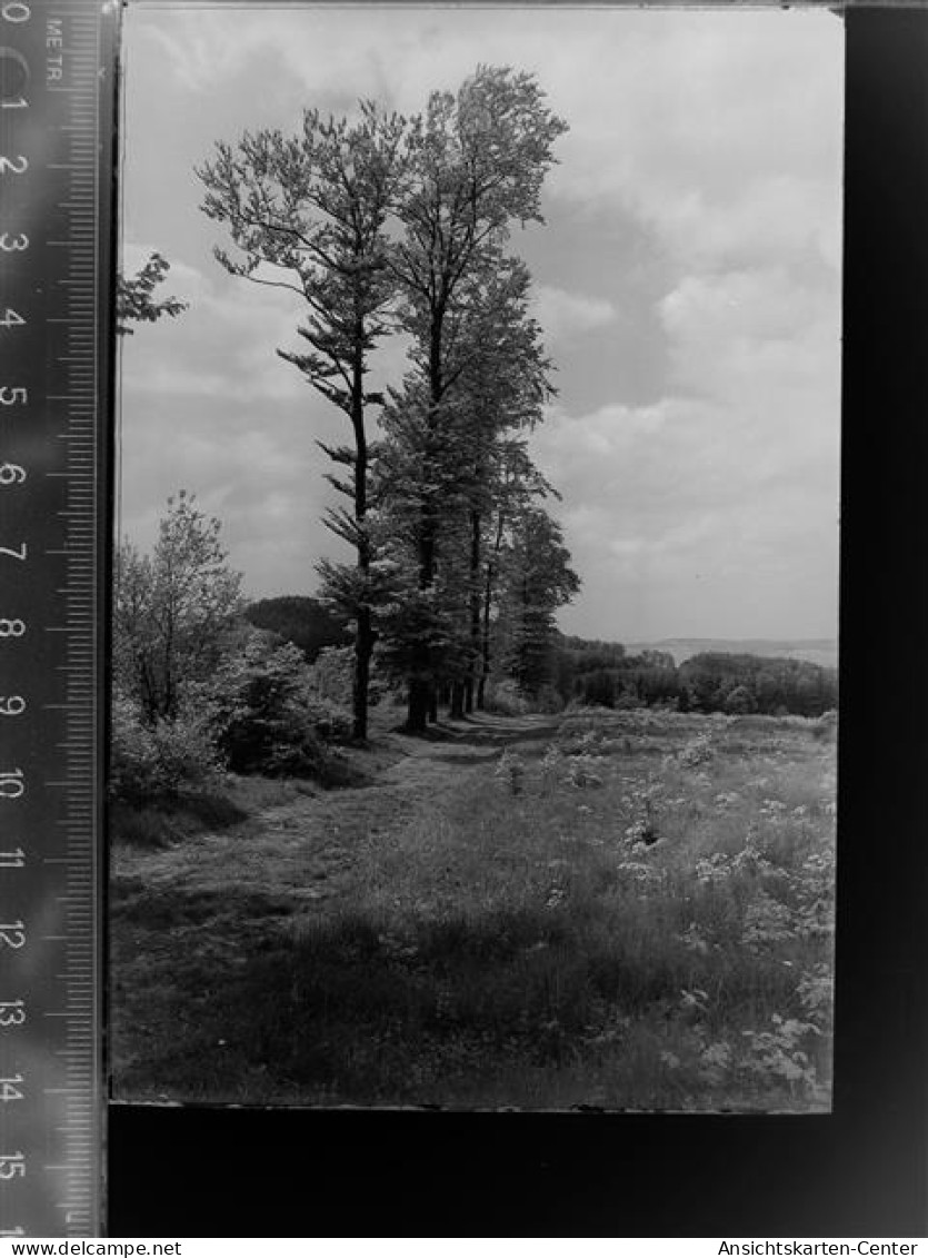 30053501 - Hessisch Oldendorf