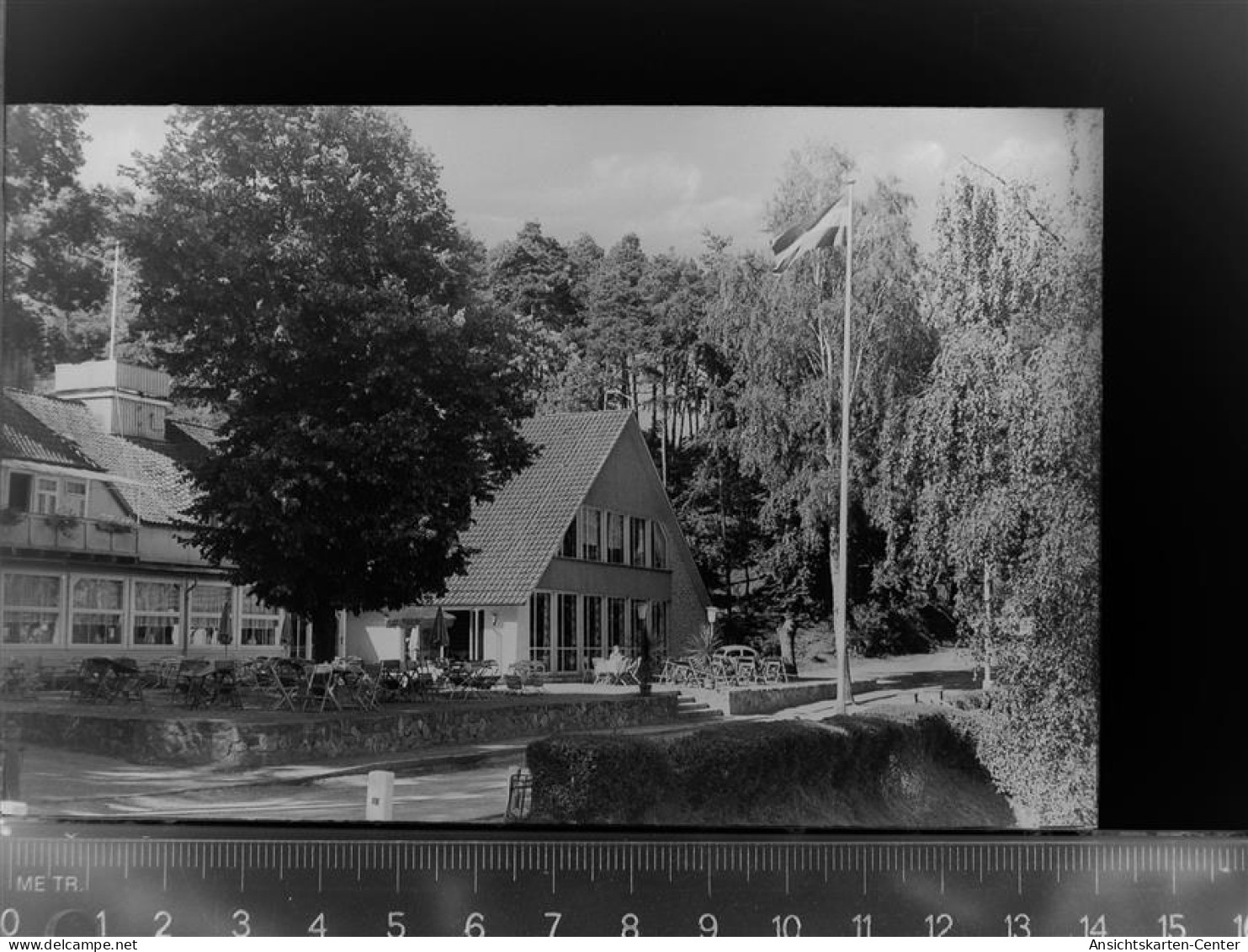 30053539 - Hitzacker (Elbe)