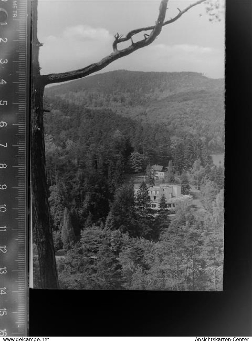 30054306 - Bad Bergzabern