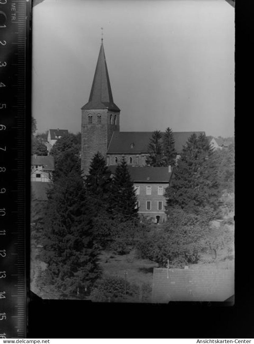 30054708 - Waldbroel