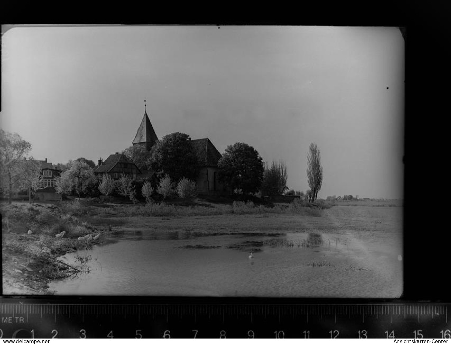 30055125 - Hitzacker (Elbe)