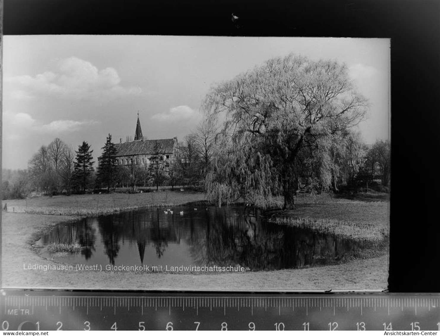 30058591 - Luedinghausen