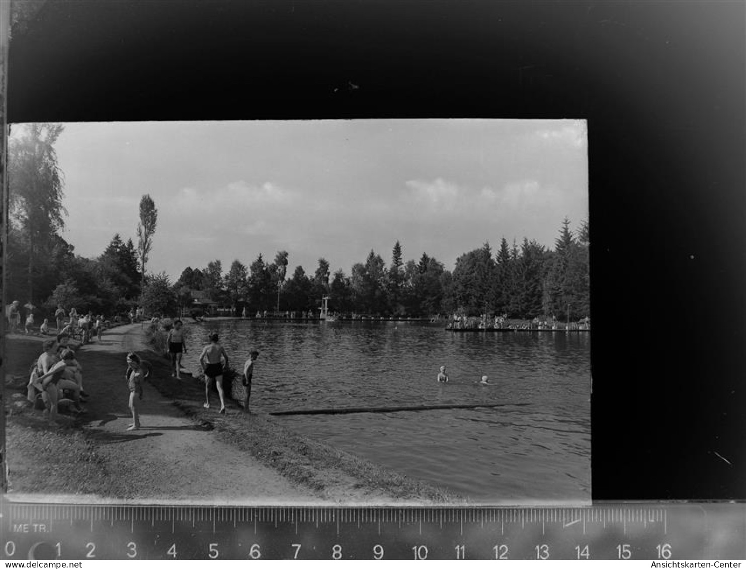 30060426 - Waldbroel