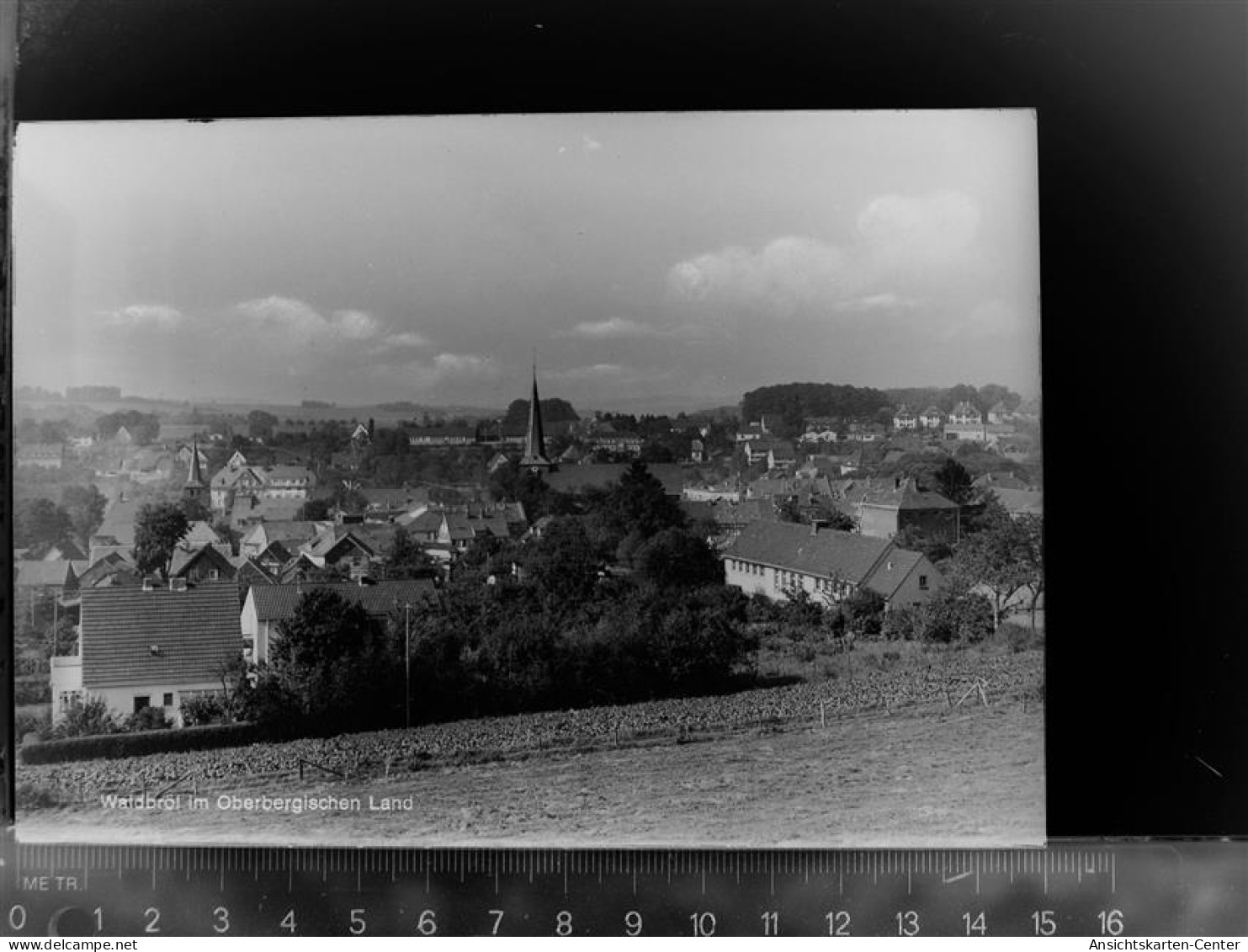 30060436 - Waldbroel