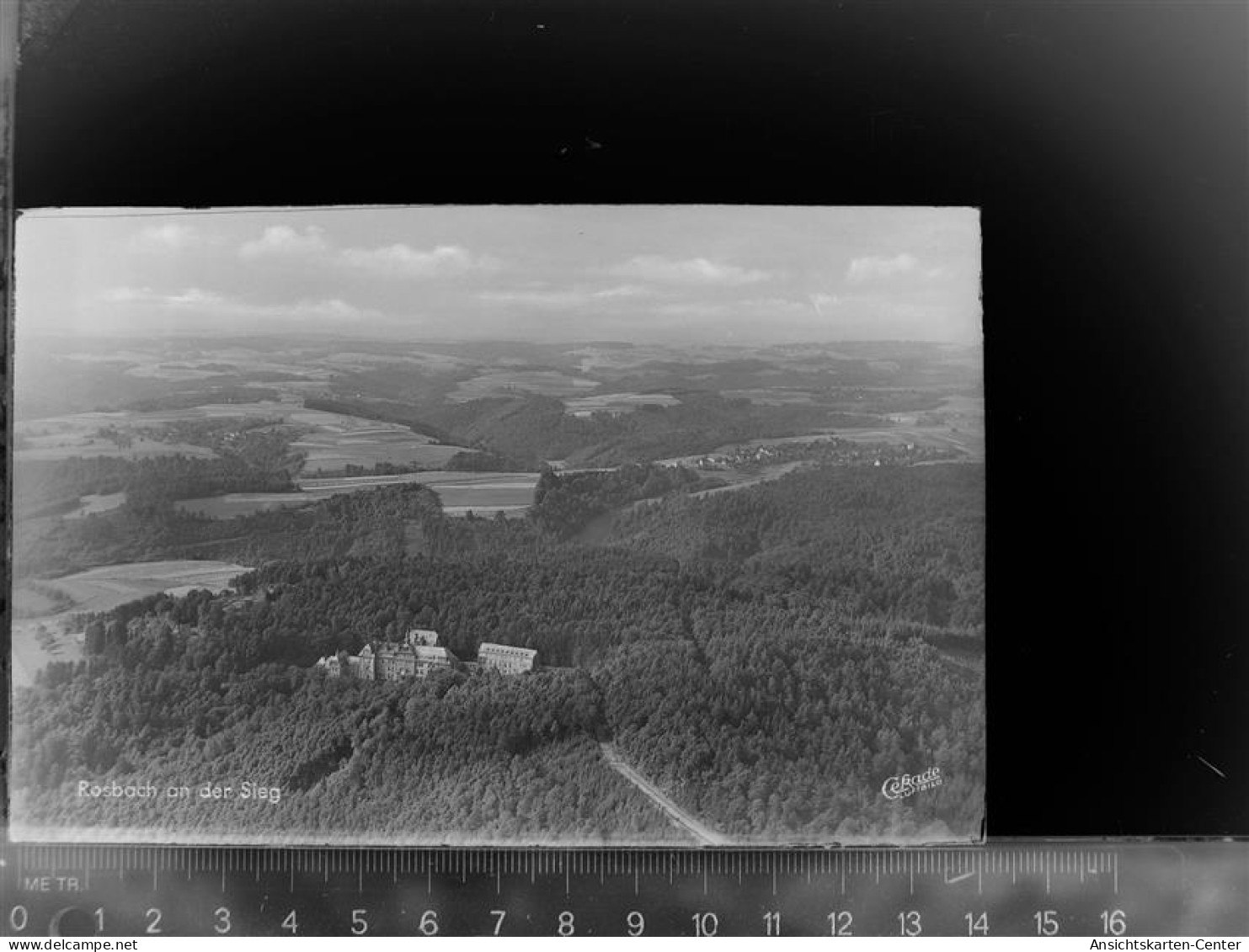 30060439 - Waldbroel