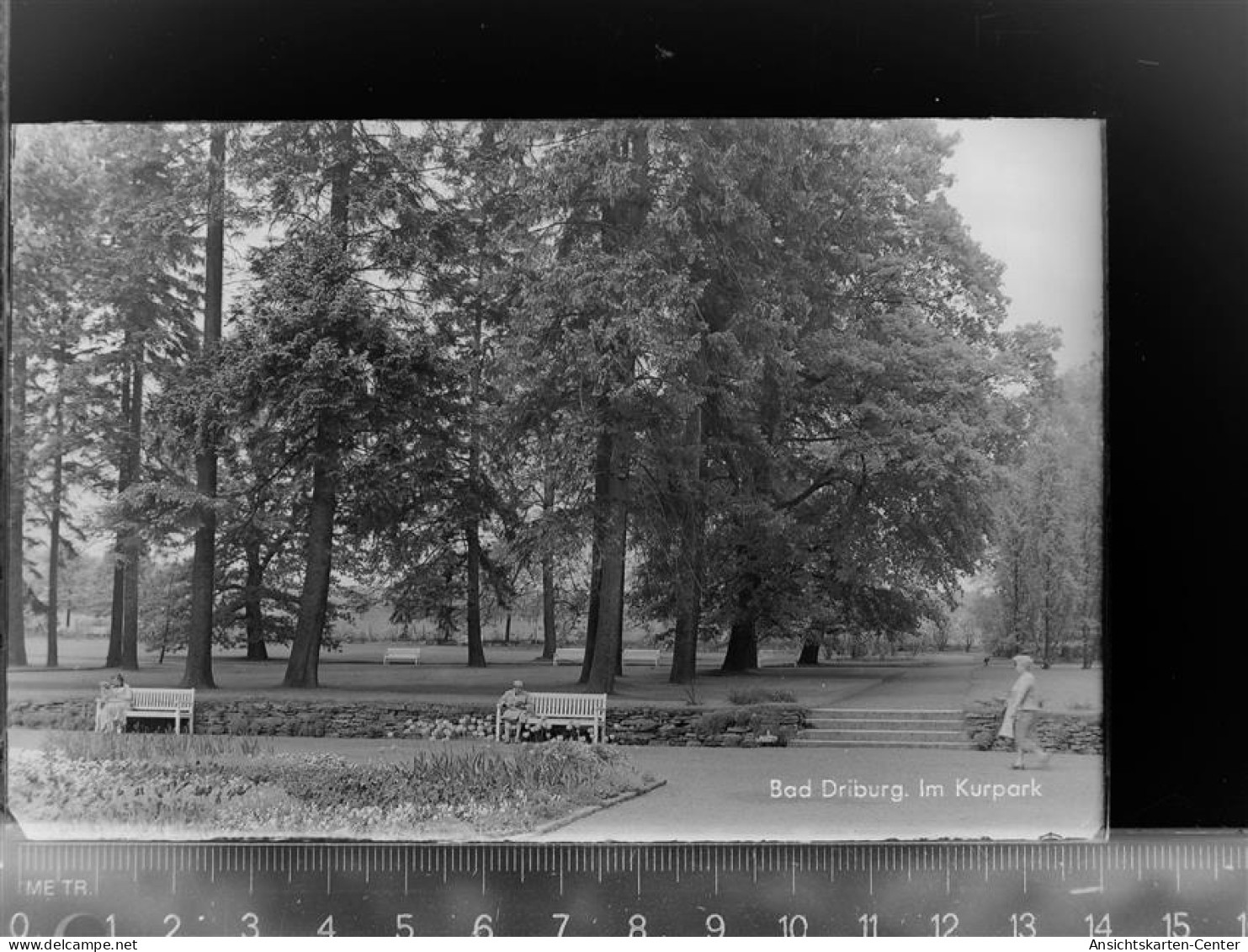 30060548 - Bad Driburg