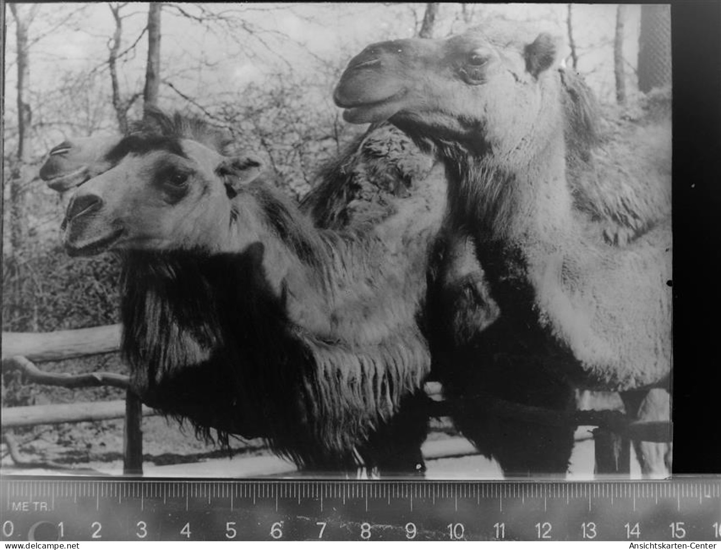 30060857 - Gelsenkirchen