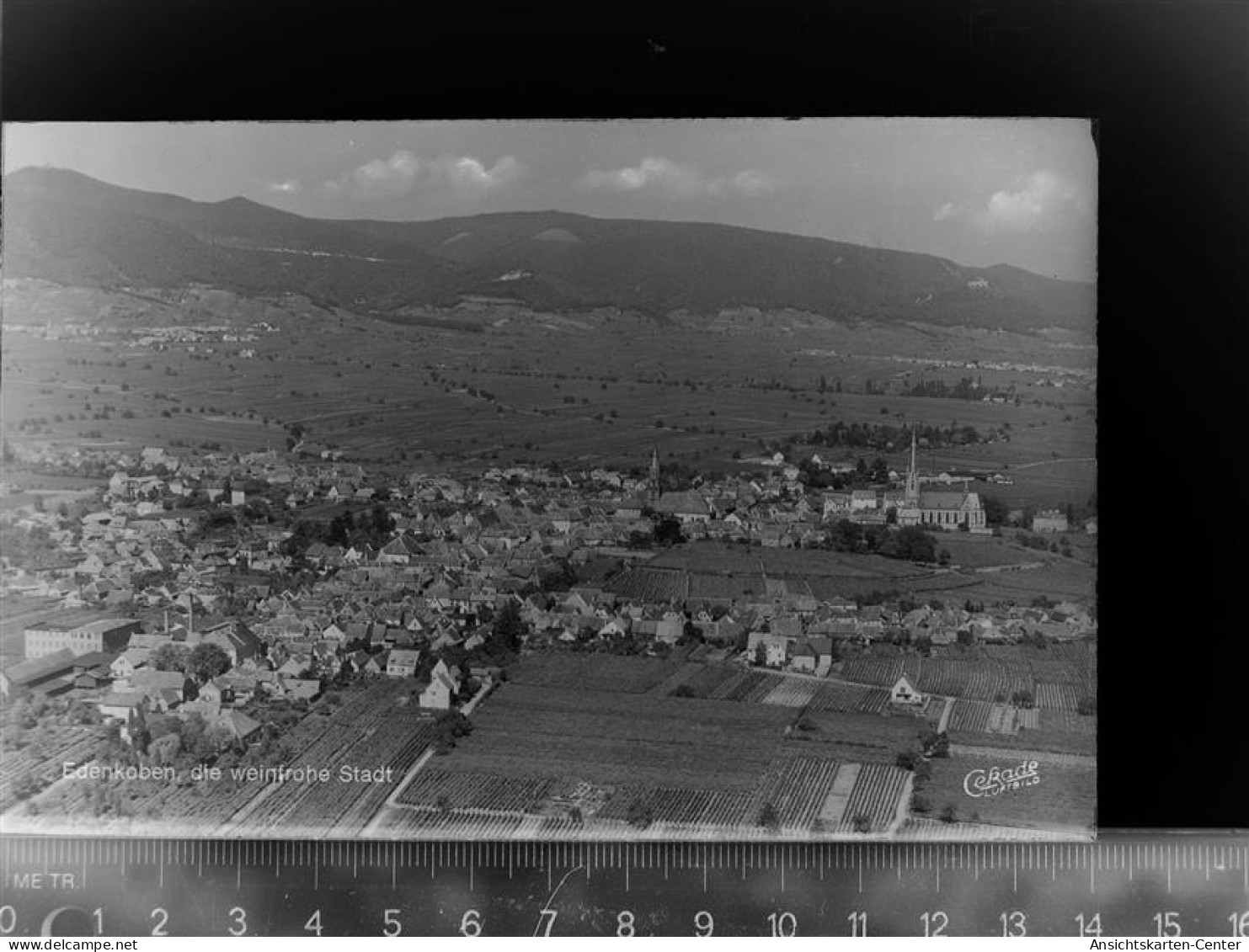 30060978 - Edenkoben