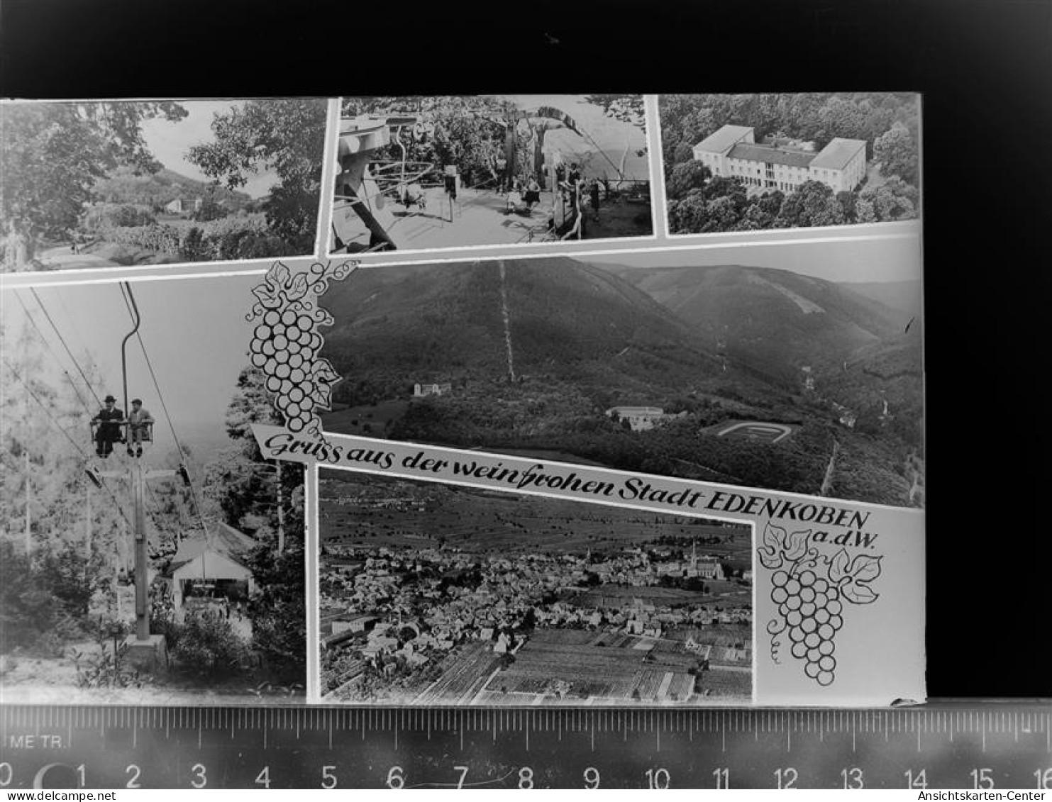 30060993 - Edenkoben