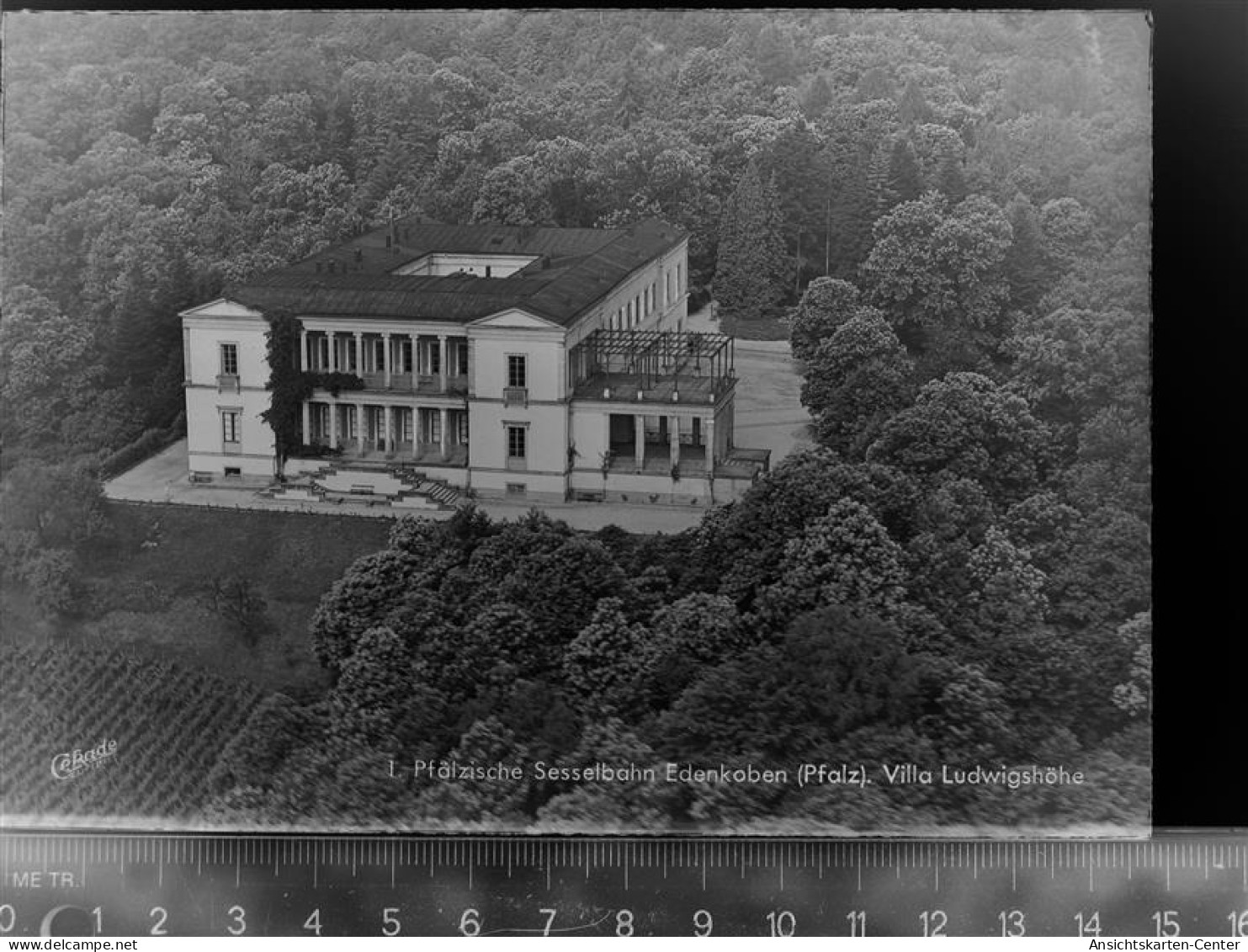 30060995 - Edenkoben