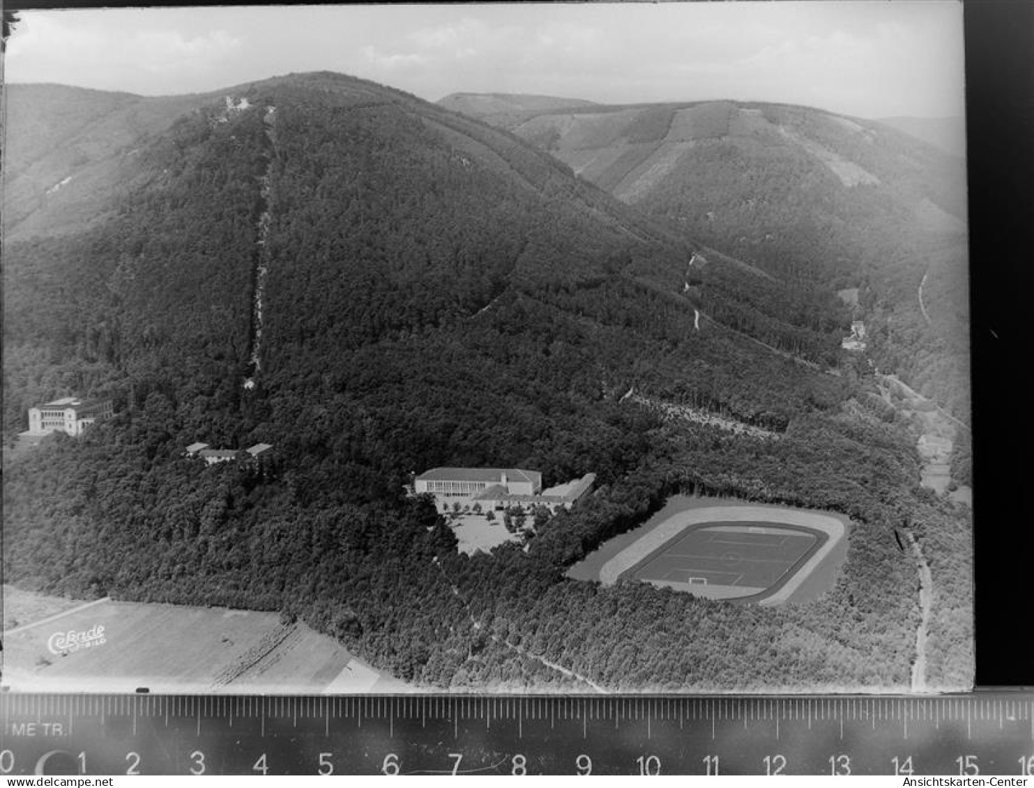 30060998 - Edenkoben