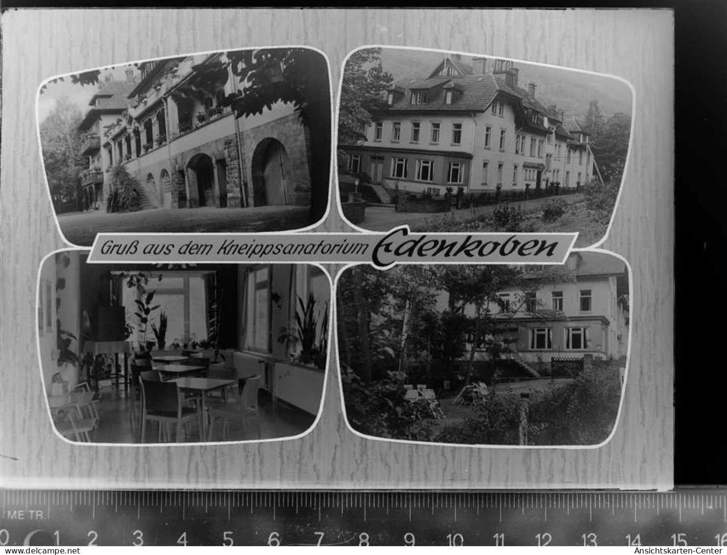 30061003 - Edenkoben