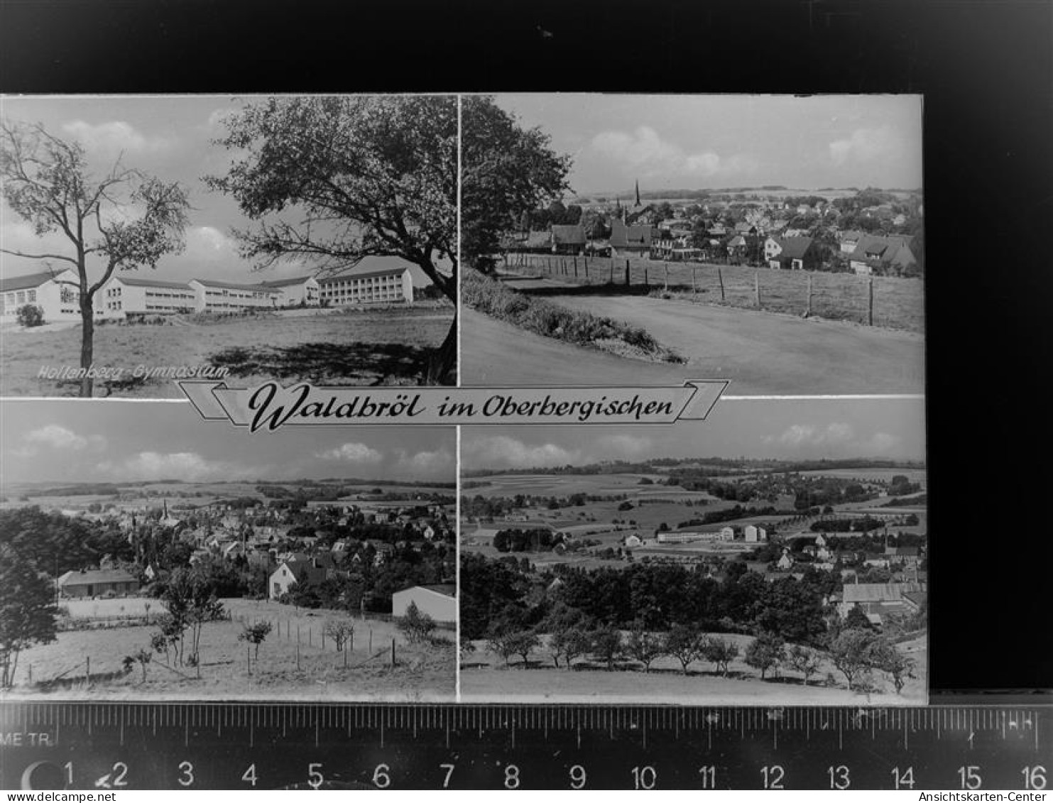 30065862 - Waldbroel