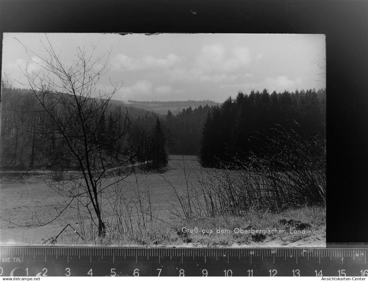 30065865 - Waldbroel