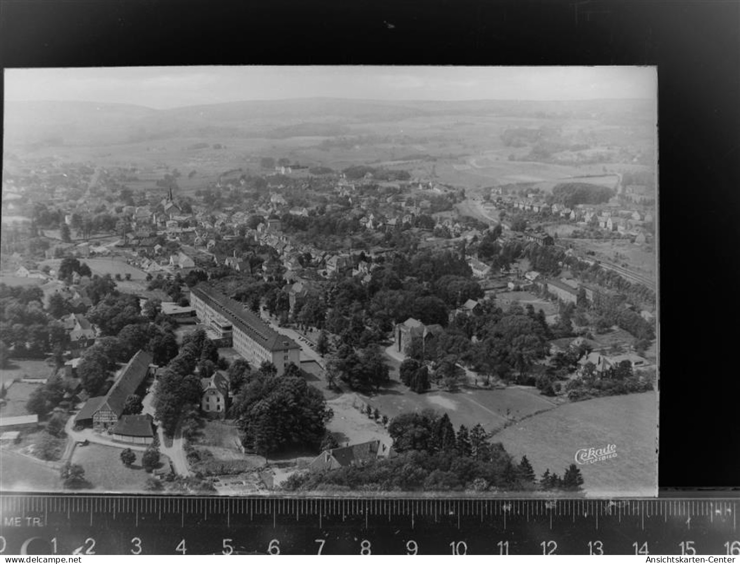 30065869 - Waldbroel