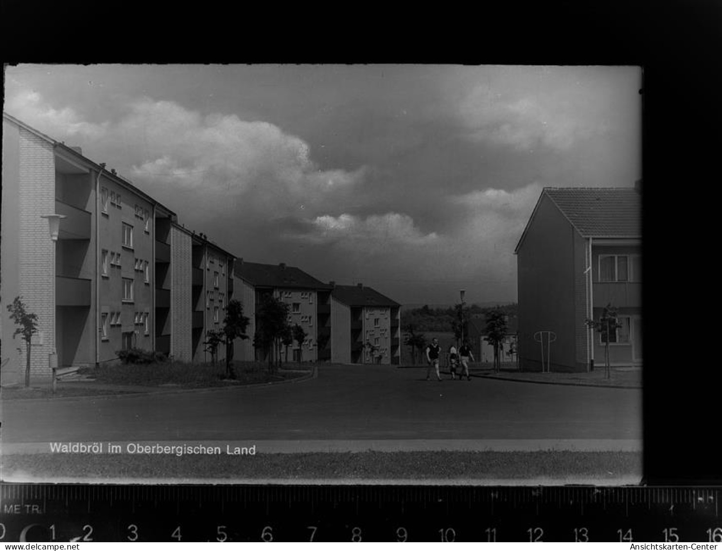 30065874 - Waldbroel