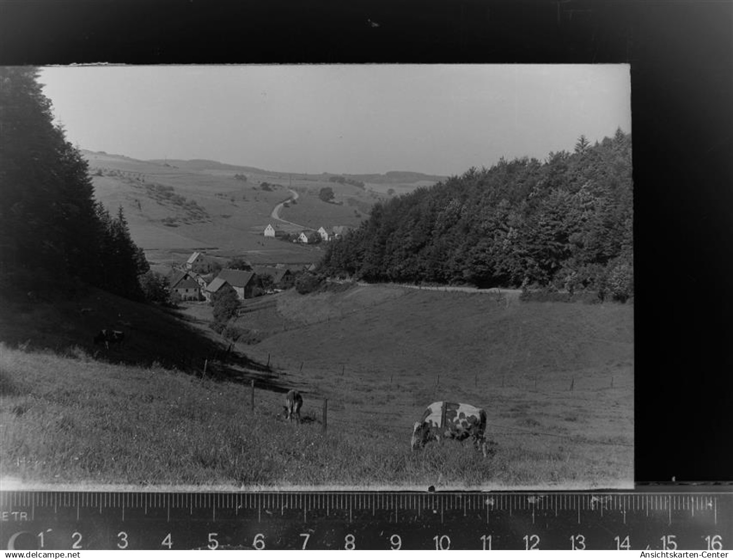 30066396 - Sundern (Sauerland)