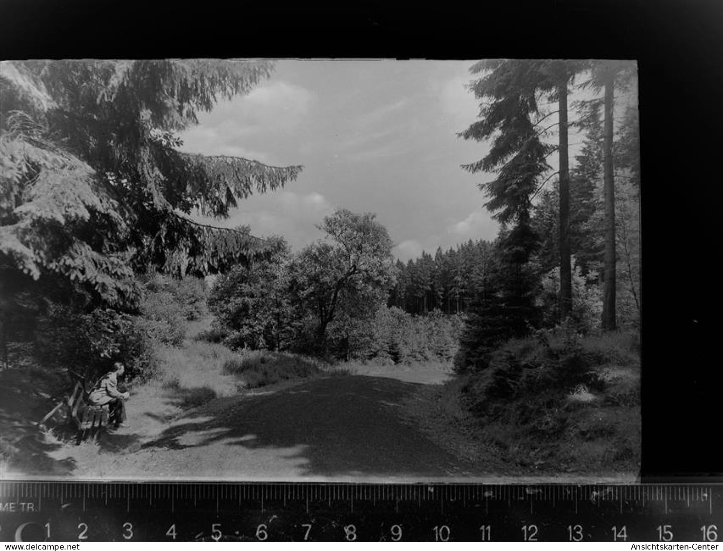 30067390 - Barsinghausen