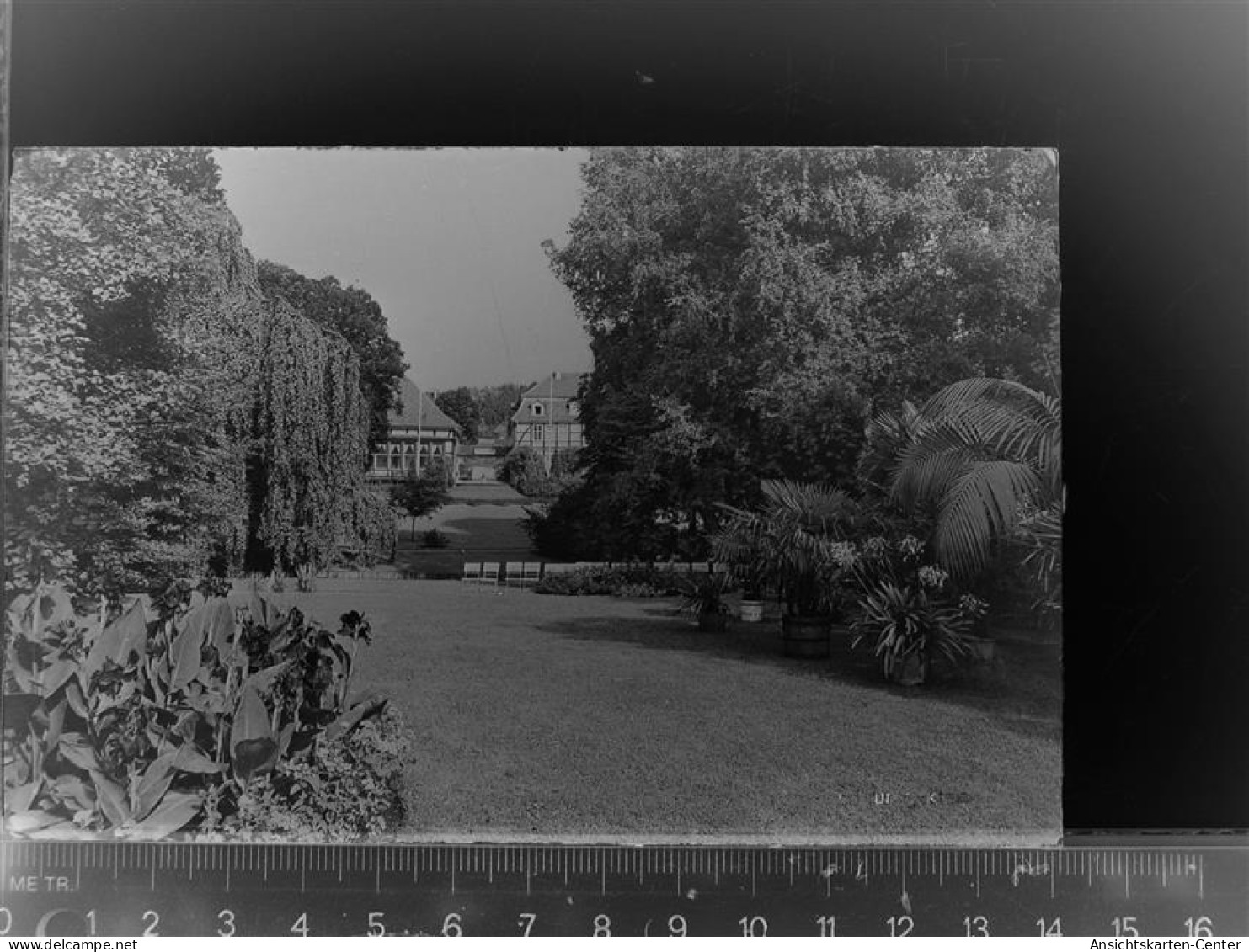 30069335 - Bad Meinberg