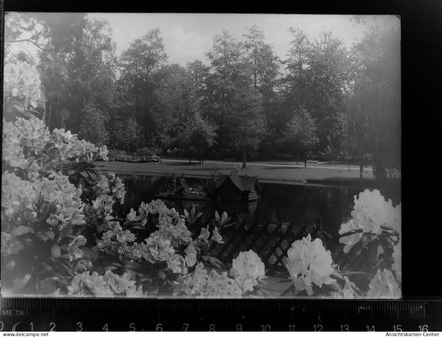 30069361 - Bad Salzuflen