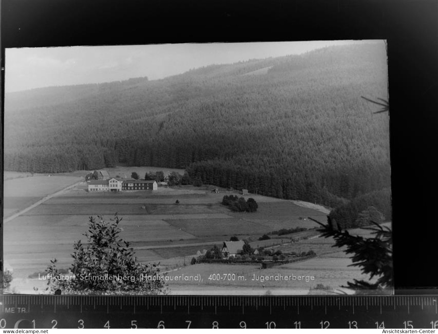 30075805 - Schmallenberg