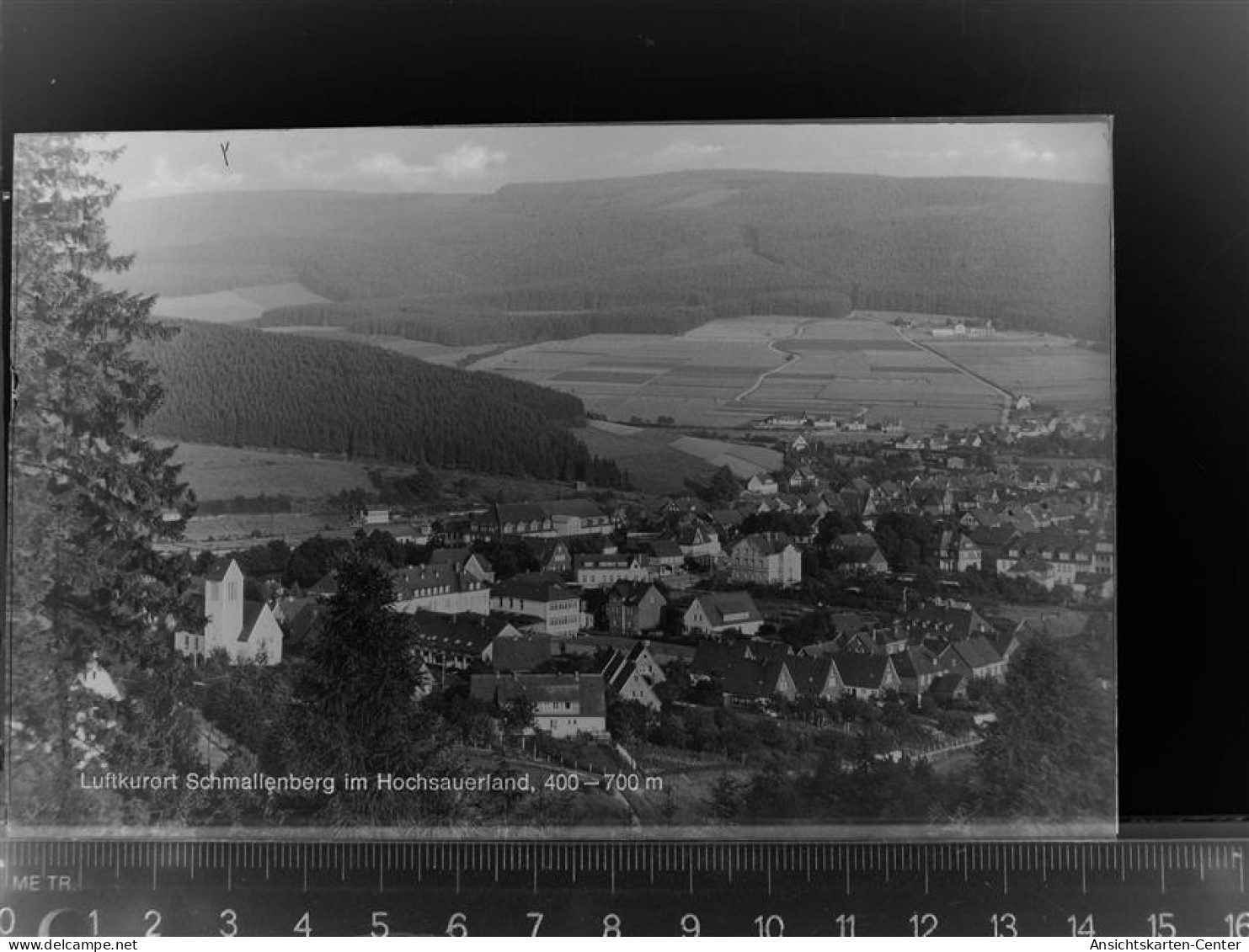 30075807 - Schmallenberg