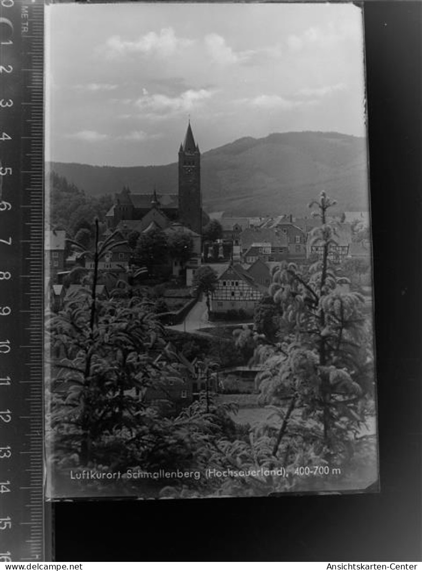 30075809 - Schmallenberg