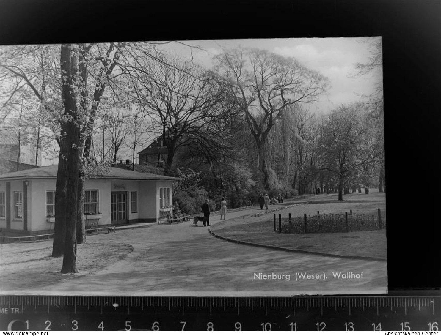 30076149 - Nienburg (Weser)