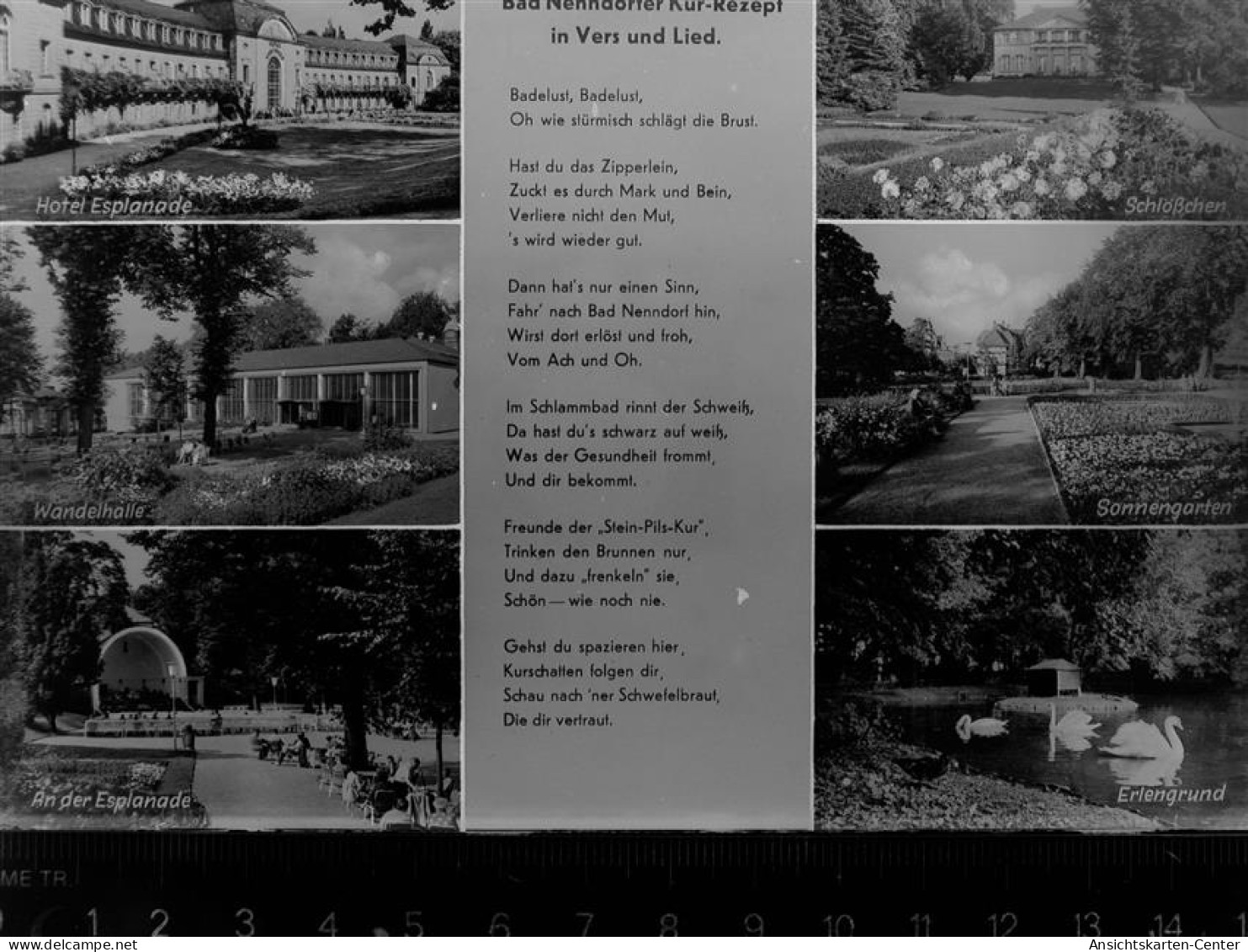 30078057 - Bad Nenndorf