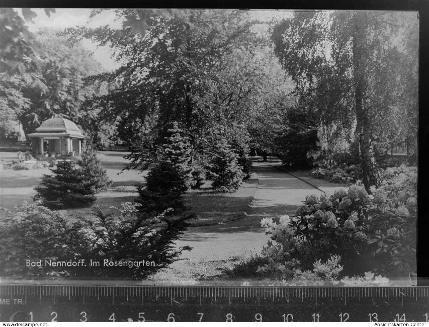 30078068 - Bad Nenndorf