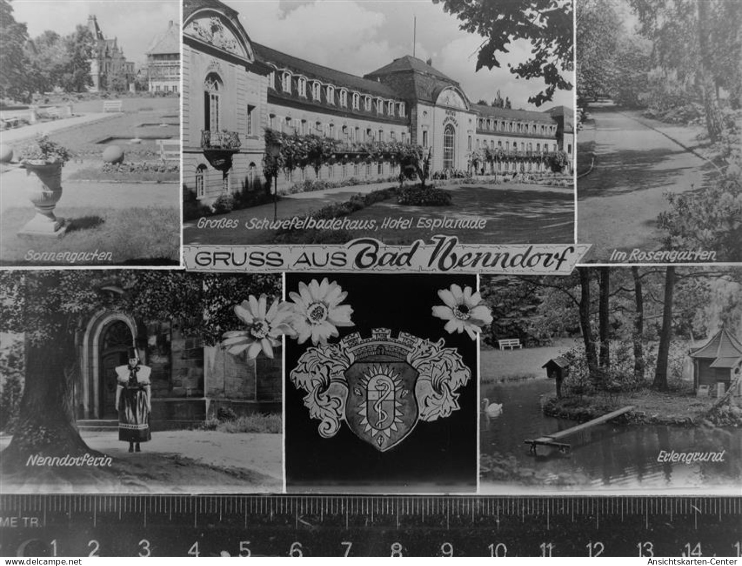 30078070 - Bad Nenndorf