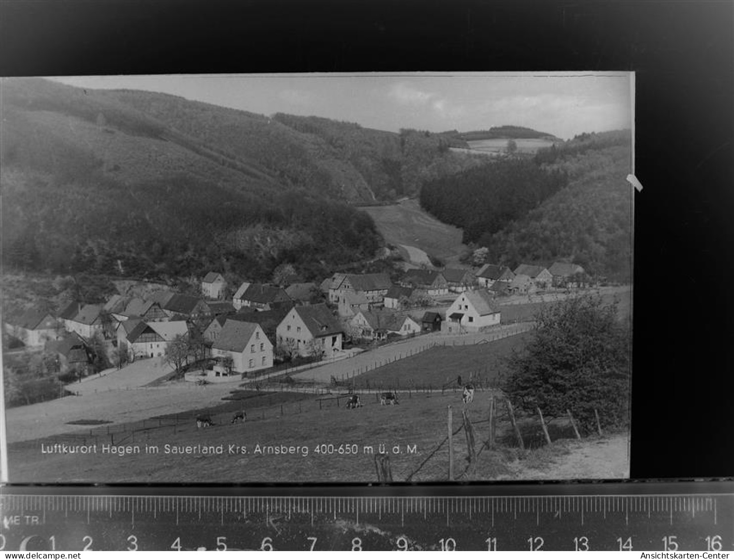 30078650 - Sundern (Sauerland)