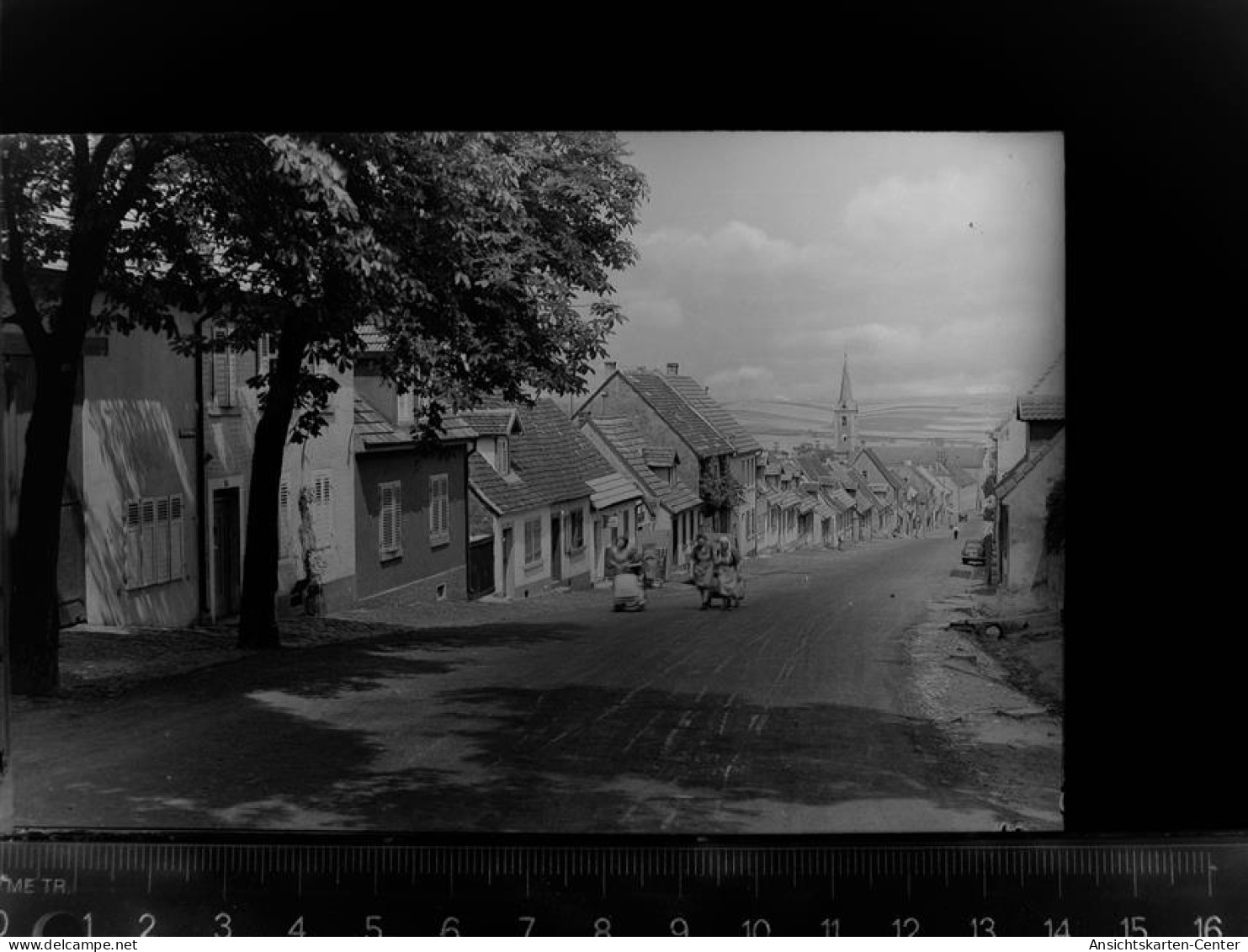 30080812 - Kirchheimbolanden